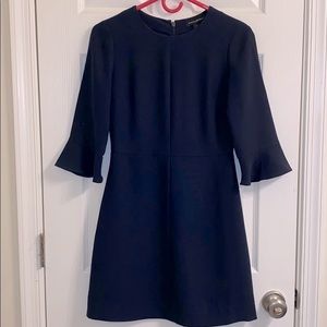 Banana Republic Ruffle sleeve dress